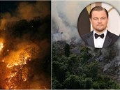 Leonardo DiCaprio se rozhodl pispt miliony na záchranu Amazonie.