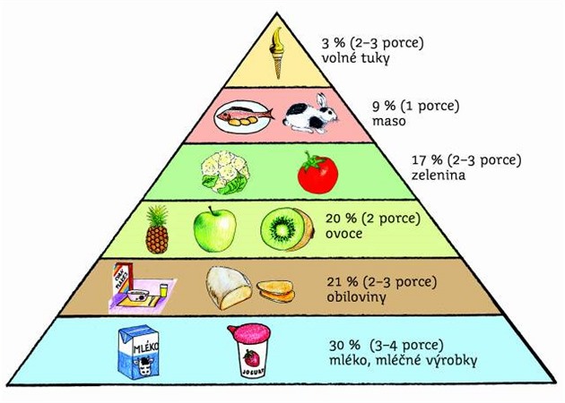 Pyramida, podle kter se ve kolce Montessori tvo jdelnek pro dti.