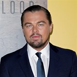 Leonardo DiCaprio