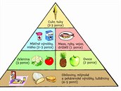 Pyramida, podle které se ve kolce Montessori tvoí jídelníek pro dti.