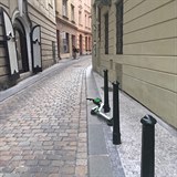 Kolobky Lime se vlej po cel Praze, lid na nich jezd po chodnku. Podle...