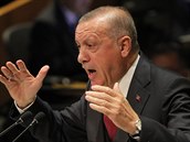 Erdogan pohrozil v Evropě: Pomozte nám s přesunem milionu uprchlíků do Sýrie,...