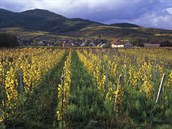 Francouzské Alsasko je proslulé skvlými, zejména bílými víny.