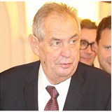 Halk o mm zdravotnm stavu le, k Zeman.