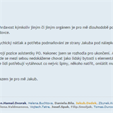 Piráti na fóru sdílejí svoje zážitky s místopředsedou strany Jakubem Michálkem....