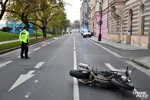 Pejskaka na Hoejím nábeí pecházela frekventovanou silnici, po sráce s...