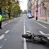 Pejskaka na Hoejm nbe pechzela frekventovanou silnici, po srce s...