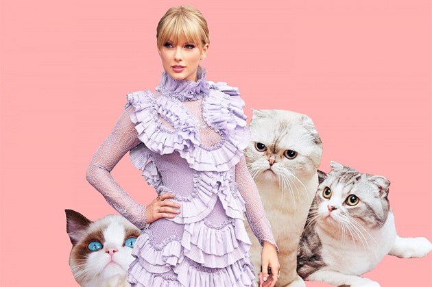 Taylor Swift kočky miluje