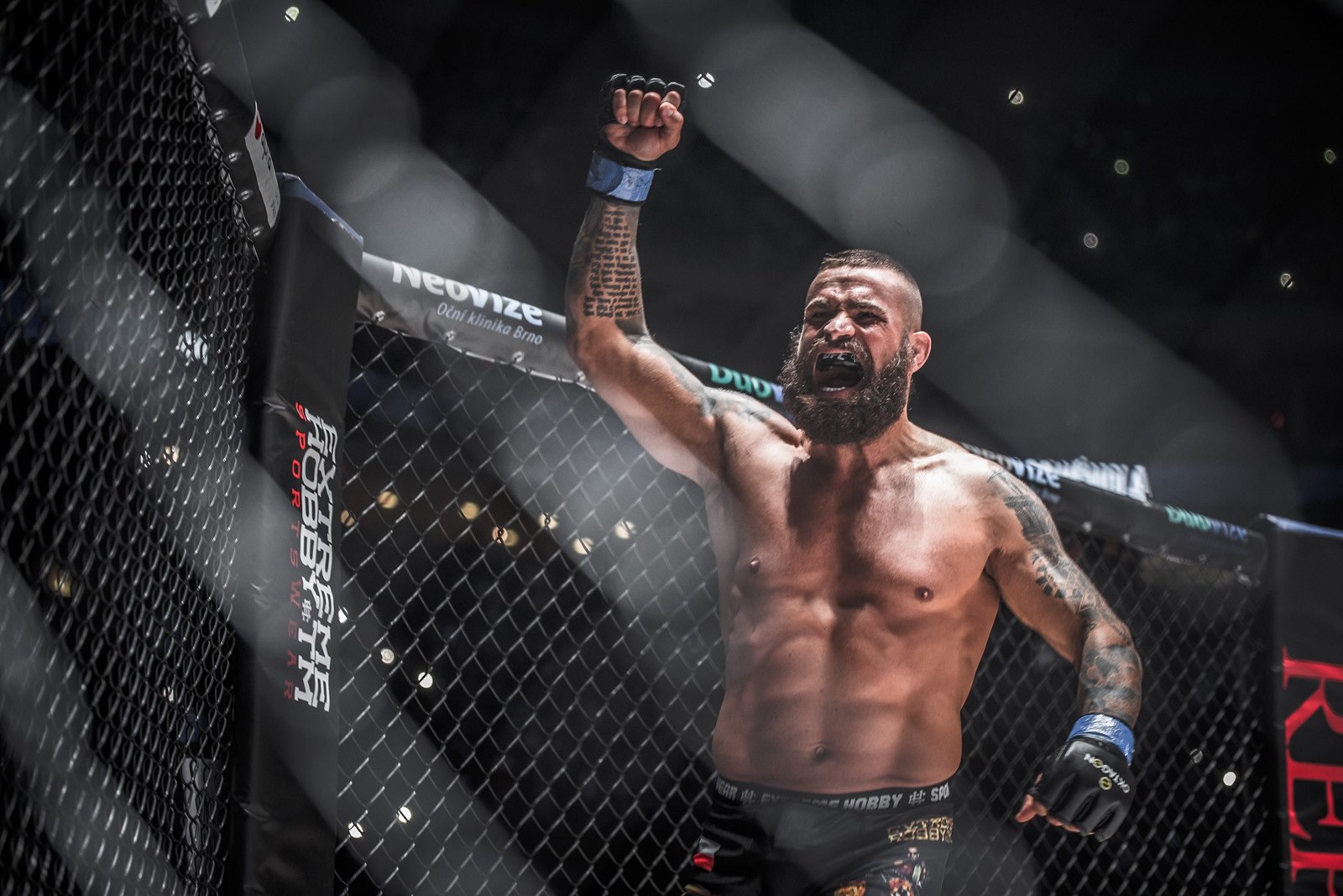 Fotogalerie Karlos Vémola