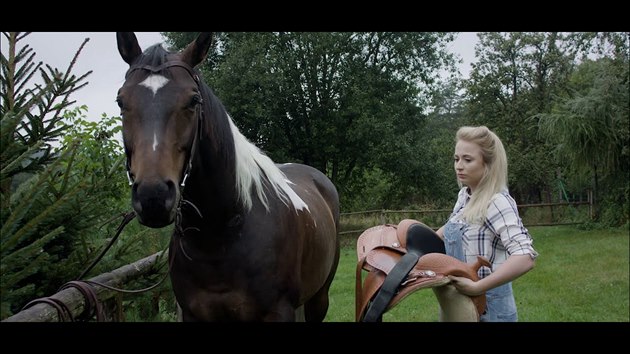 Jedu na koni! Top 10 klipů, kde hrají prim koně! | Články | OCKO.TV