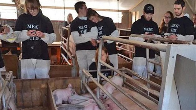 Kdy� rebelové rebelují a� moc.