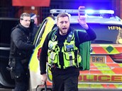 Na londýnském most London Bridge v pátek zasahovala policie kvli útoku noem....