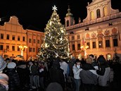 Vánoní strom v eských Budjovicích sklízí od lidí samou chválu.