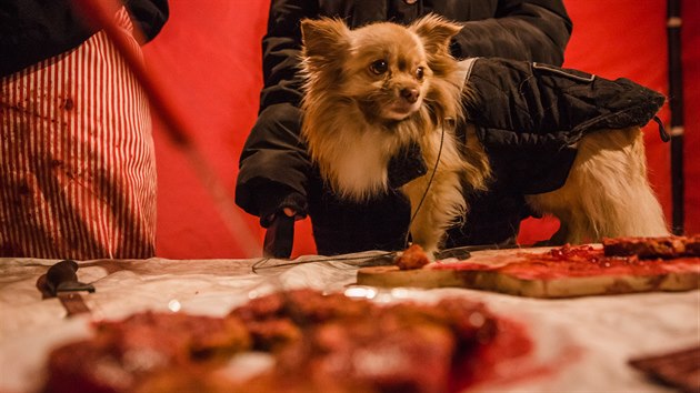 S váno�ním prodejem ps� u� mají aktivisté v Brn� svou zku�enost.