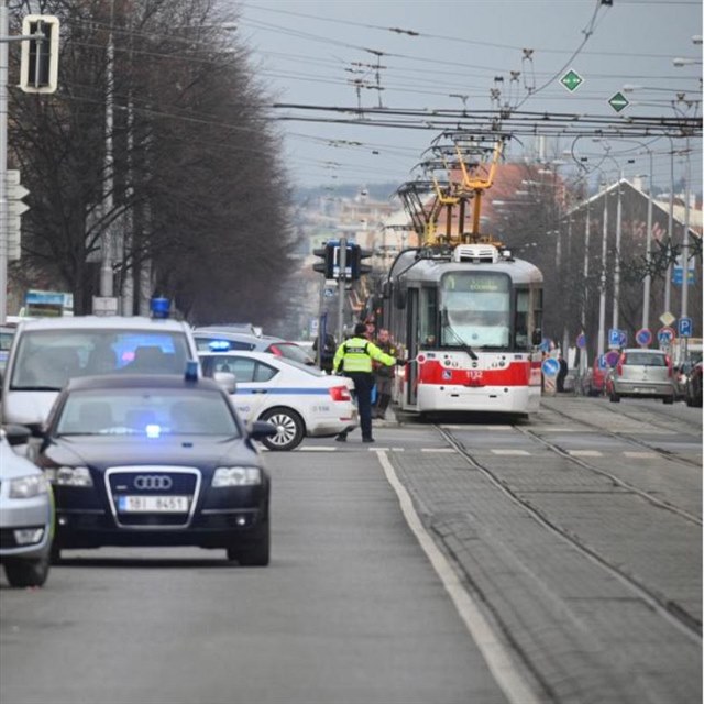 Policist v Brn uzaveli Lidickou ulici.