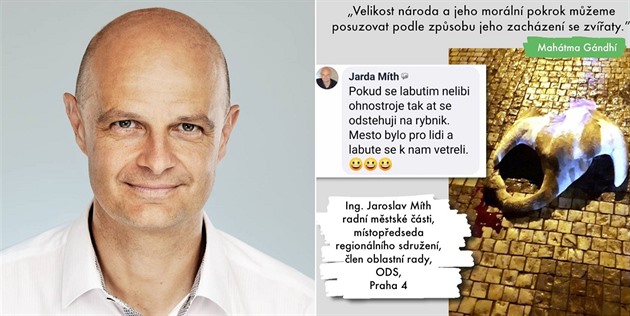 Radní Prahy 4 Jaroslav Míth (ODS) si svými slovy o labutích v Praze dost nabhl.