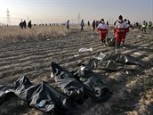 Pi zícení letadla u Teheránu zemelo vech 176 lidí.