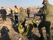Pi leteckém netstí poblí Teheránu zemelo 176 lidí.