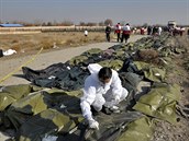 Tragédie si poblí Teheránu vyádala 176 lidských obtí.