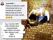 Radní Prahy 4 Jaroslav Míth vtipkoval na úet labutí, které v hlavním mst...