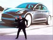 Elon Musk má poslední týdny poádné dvody k radosti. A zjevn také k tanci.
