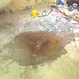 Hygienick podmnky v dom byly tristn. V okolnch bytech pitom bydlely dti.