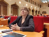 S radní Hanou Kordovou Marvanovou ml primátor viditelný spor.