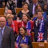 Europoslanci oplakvali odchod Britnie.