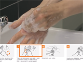 WHO vydalo návod, jak si správn mýt ruce.