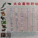 Nabídka tržnic se zvířaty je ve Wu-chanu je vskutku široká.