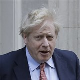 Zdravotní stav britského premiéra Borise Johnsona, který byl kvůli nemoci...