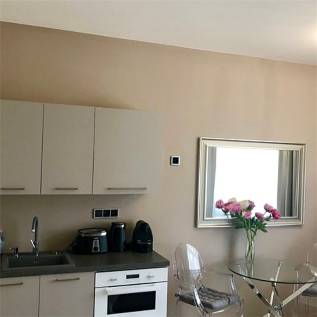 Designov apartmn 1+kk, 27m2, Praze 1, ve Splen ulici je k mn za 10.000...