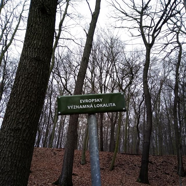 Sdlit Janov nechvaln proslulo v celm esku. Nedaleko vybydlench panelk...