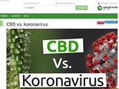 Léí snad konopí i koronavirus?