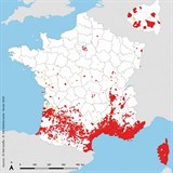 Ve Francii případů nebezpečně přibývá.