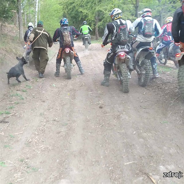 Motorki si spletli les se zvoditm a napadli lesnky. Te po nich ptr...