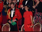 Harry a Meghan