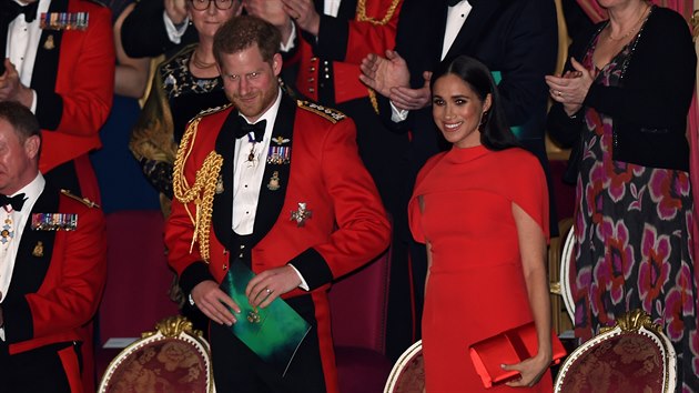 Harry a Meghan