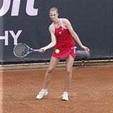 Karolína Plíšková dovedla svůj tým k vítězství.