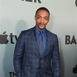 Anthony Mackie promluvil o policejn brutalit.