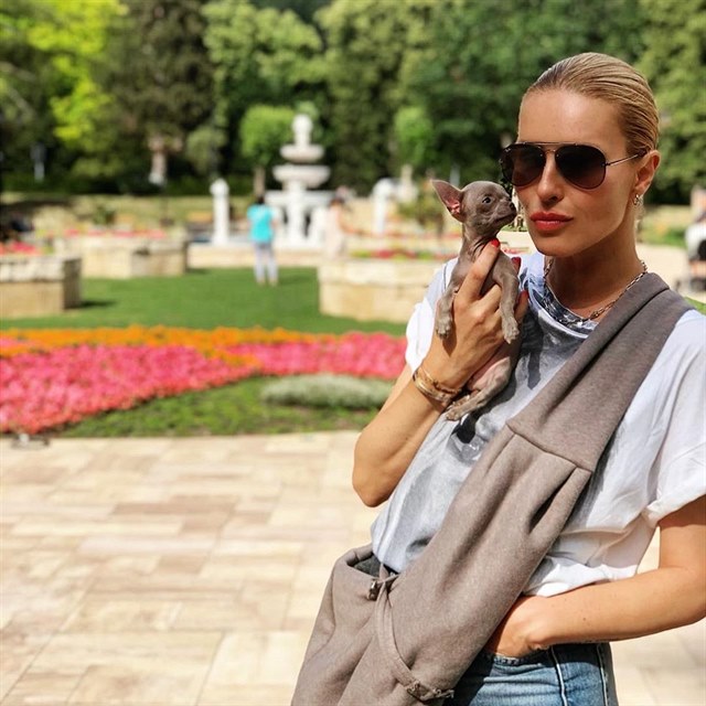 Simona Krainová čivavě Angele raději založila vlastní instagramový účet.
