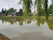 K rodinné tragédi dolo k rybníku v obci Lhota u Píbrami.