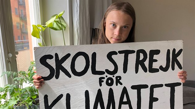 Greta Thunbergov u do koly chodit nemus. Dky svm protestm a demonstracm m jej jmno milionovou hodnotu.