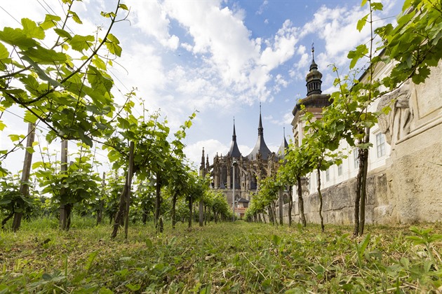 Vina Kutna Hora