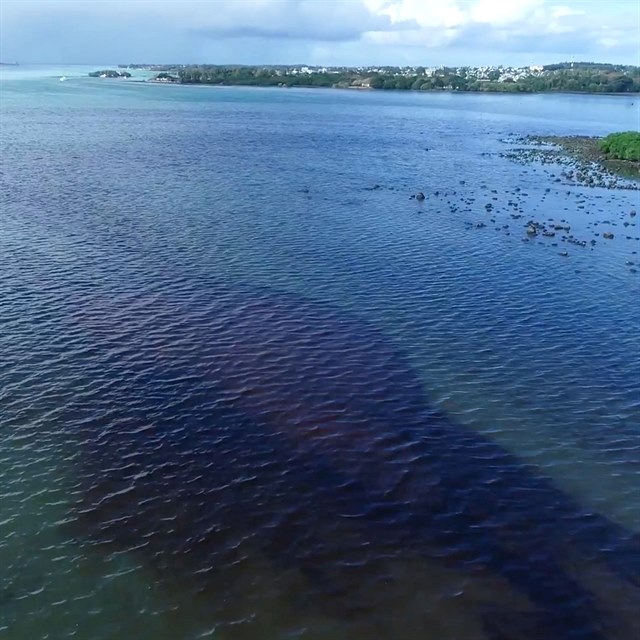 Ostrov Mauricius pokrv ropa z lodi MV Wakashio, kter minul msc uvzla na...