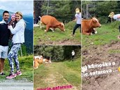 Lucie afáová si  v rakouských Alpách chtla pohladit voln se pasoucí krávu....