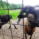 Jakub Vgner prodal spolenost Katlov Lakes. Tu od nj na konci loskho roku...