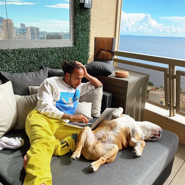 Lewis Hamilton se svým psem Roscoem, ze kterého udlal vegana.