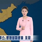 Severní Korea varovala své obyvatele před nebezpečným žlutým mrakem z Číny.