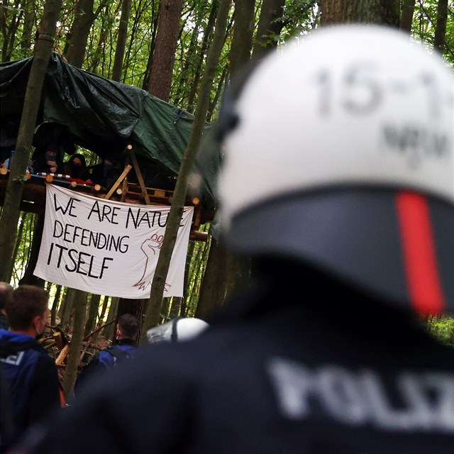 Racketeov se pidala k aktivistm, kte obsadili les.